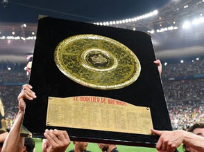 Tableau des phases finales du Top 14 avec Toulouse, Pau et Montpellier encore en course pour le Bouclier de Brennus.