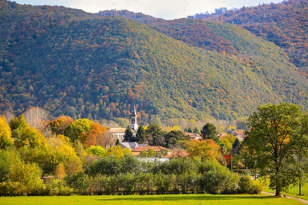 Vue du village de Loures-Barousse au cœur de la vallée de la Barousse.