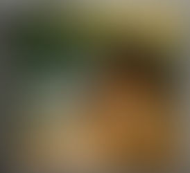 【Peter Short Film】抹茶のチャチャチャ “Matcha Cha Cha Cha”