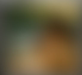 【Peter Short Film】抹茶のチャチャチャ “Matcha Cha Cha Cha”