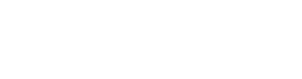 White E-Motion Motors logo