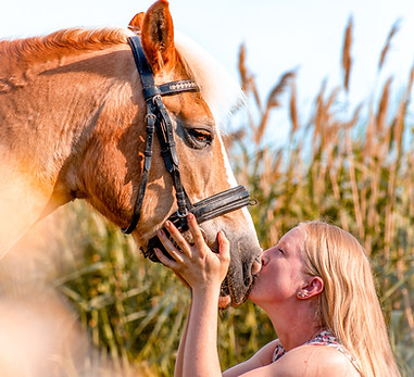 _MG_4022-2 Kopie.jpg