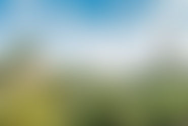 Pourquoi choisir MD Graphisme, graphiste local à Nîmes pour booster votre activité ?