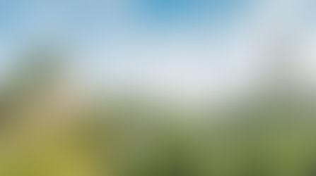 Pourquoi choisir MD Graphisme, graphiste local à Nîmes pour booster votre activité ?