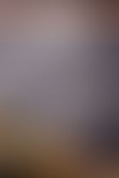 Mercado Editorial: Livros - Lançamentos em setembro e outubro de 2021