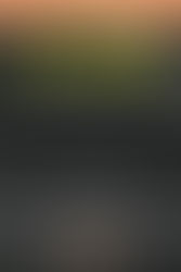 Crônicas: O Ano que Esperávamos Há Anos - Agosto de 2012