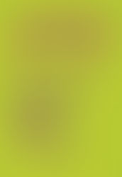 Livros: Para Educar Crianças Feministas - Carta de Chimamanda Ngozi Adichie