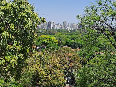 Passeio pelos Morros da Pompeia e da Vila Madalena, uma das trilhas urbanas mais desafiadoras da cidade de São Paulo