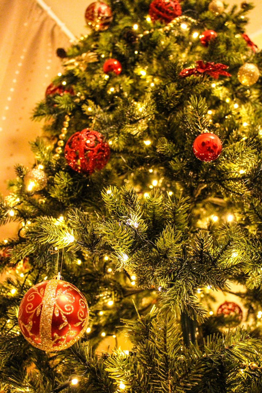 Feliz Natal do Blog Bonas Histórias