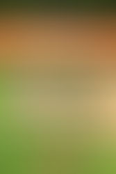 Mercado Editorial: Livros - Lançamentos em julho e agosto de 2022