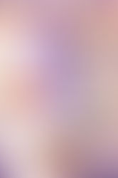 Crônicas: Eu e o Mundo - 5 - A Joaninha e a Aranha