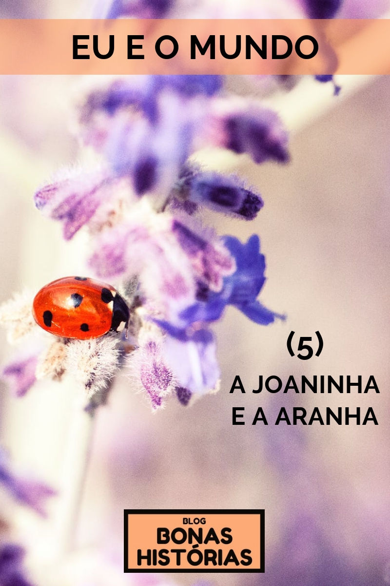Crônica A Joaninha e a Aranha de Ricardo Bonacorci