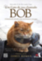 Um Gato de Rua Chamado Bob James Bowen