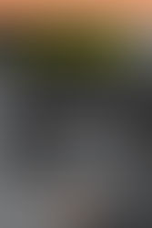 Crônicas: O Ano que Esperávamos Há Anos - Apresentação