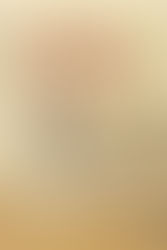 Livros: O Alquimista - O maior sucesso de Paulo Coelho