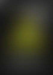 Talk Show Literário: Dona Carolina