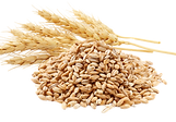和風ナチュラル自然食品パンフ素材.png
