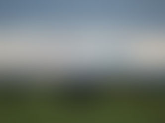 Isle of Islay - czekając na gęsi