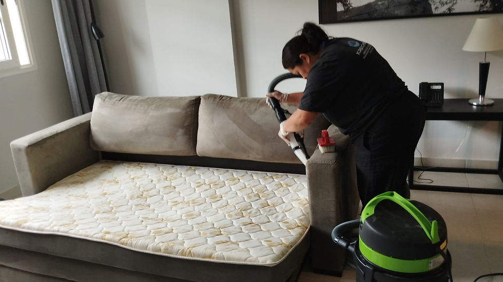 carpet-cleaning-f5K2GgoD.jpg