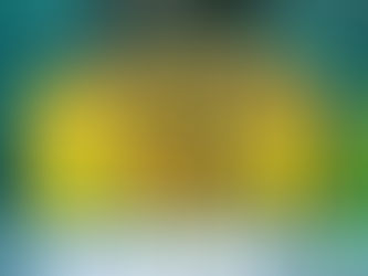 Successful start for summer of cricket