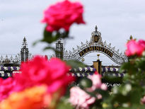 The Spring Racing Carnival has started!