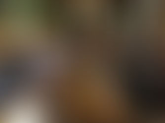 UK-Telangana Business Meet 2015 at the UK Parliament, London