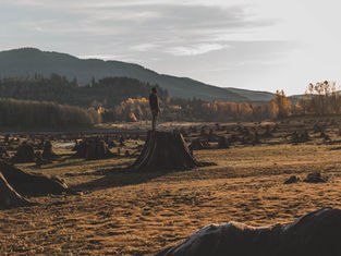 EU Biodiversity strategy for 2030