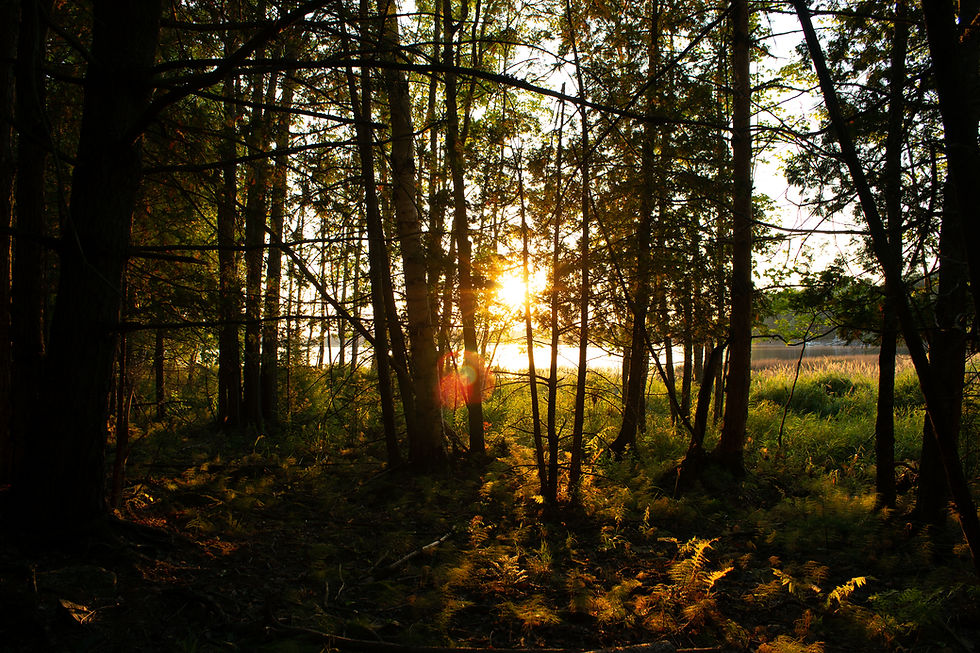 C2 f10275840-edited.jpg