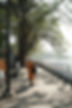 DSCF3392.JPG