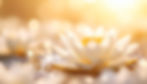 AdobeStock_1564970467.jpeg