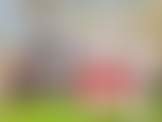 6 ‘Seller Cheats’ That Could Help—or Hurt—Your Chances of Selling Your Home