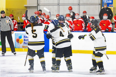 Frozen In Time: Notre Dame HS girls' co-op ice hockey season a slap shot of historic thrills