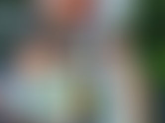 'Series'ly spectacular! Guilford Little League Softball All-Stars set to shine on world stage  