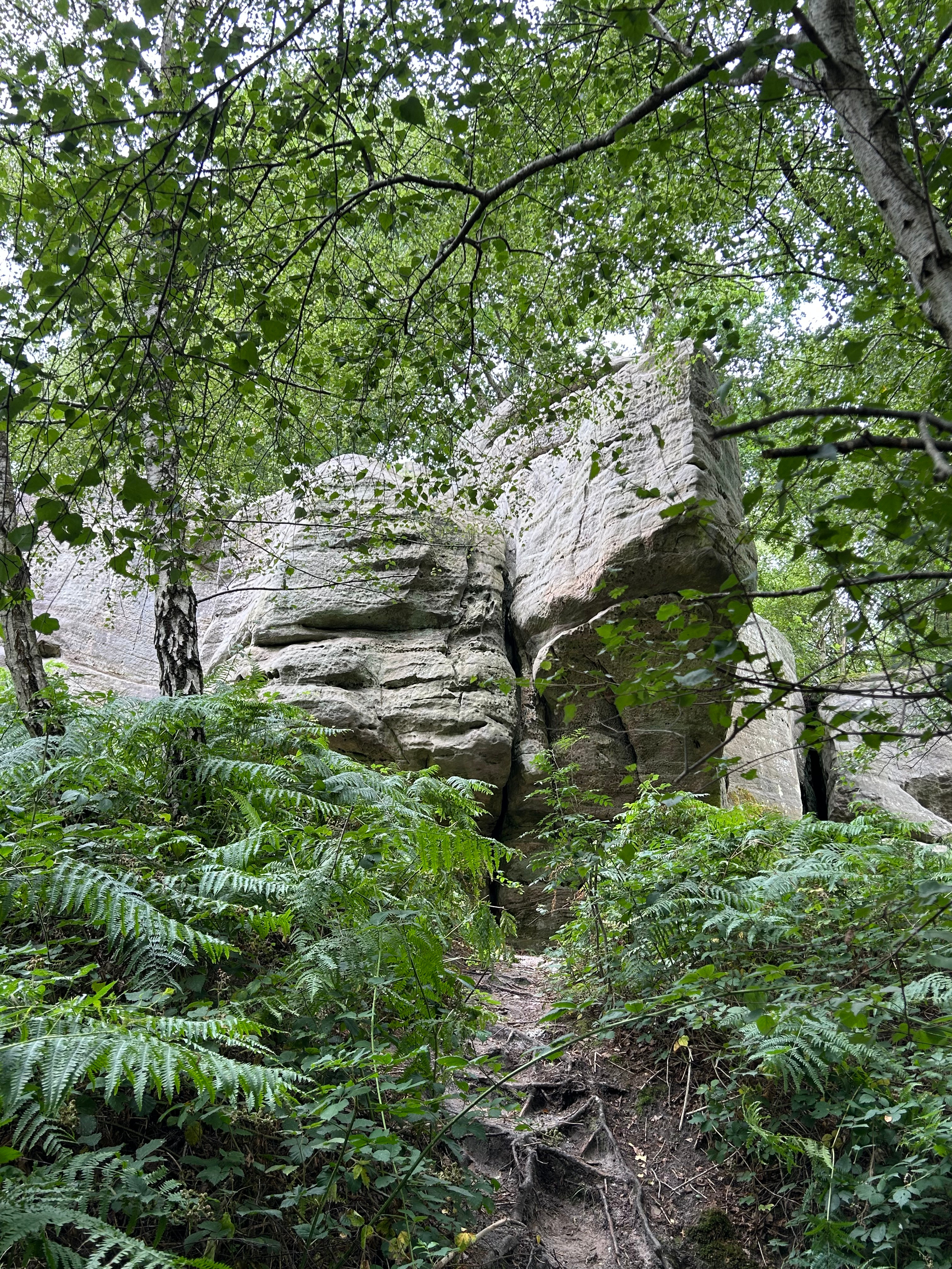 E Ridge Rocks Nature Reserve Map A walk through Broadwater Warren & Eridge Rocks | HWWF