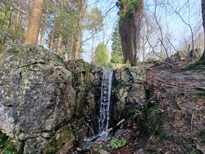 The High Weald I Love - Hidden Gems of Ashdown Forest with Clive Grumett