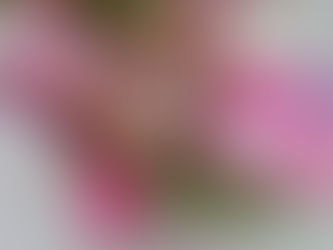 Bouquet pour maitresse ou maître