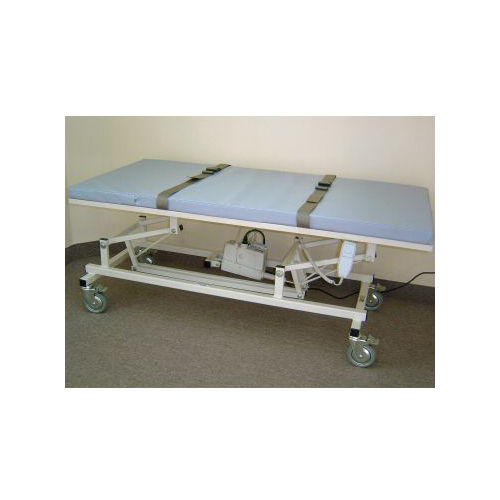 Can-Dan Mobile Electric Height Adjustable Change Table