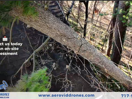 drone-assisted tree cutting and assessment