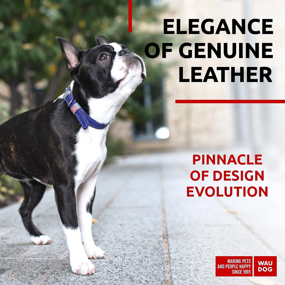 Miniatura: Purple Long Lasting Leather Dog Collar for Small Dogs 1114 inch Neck Adjustable