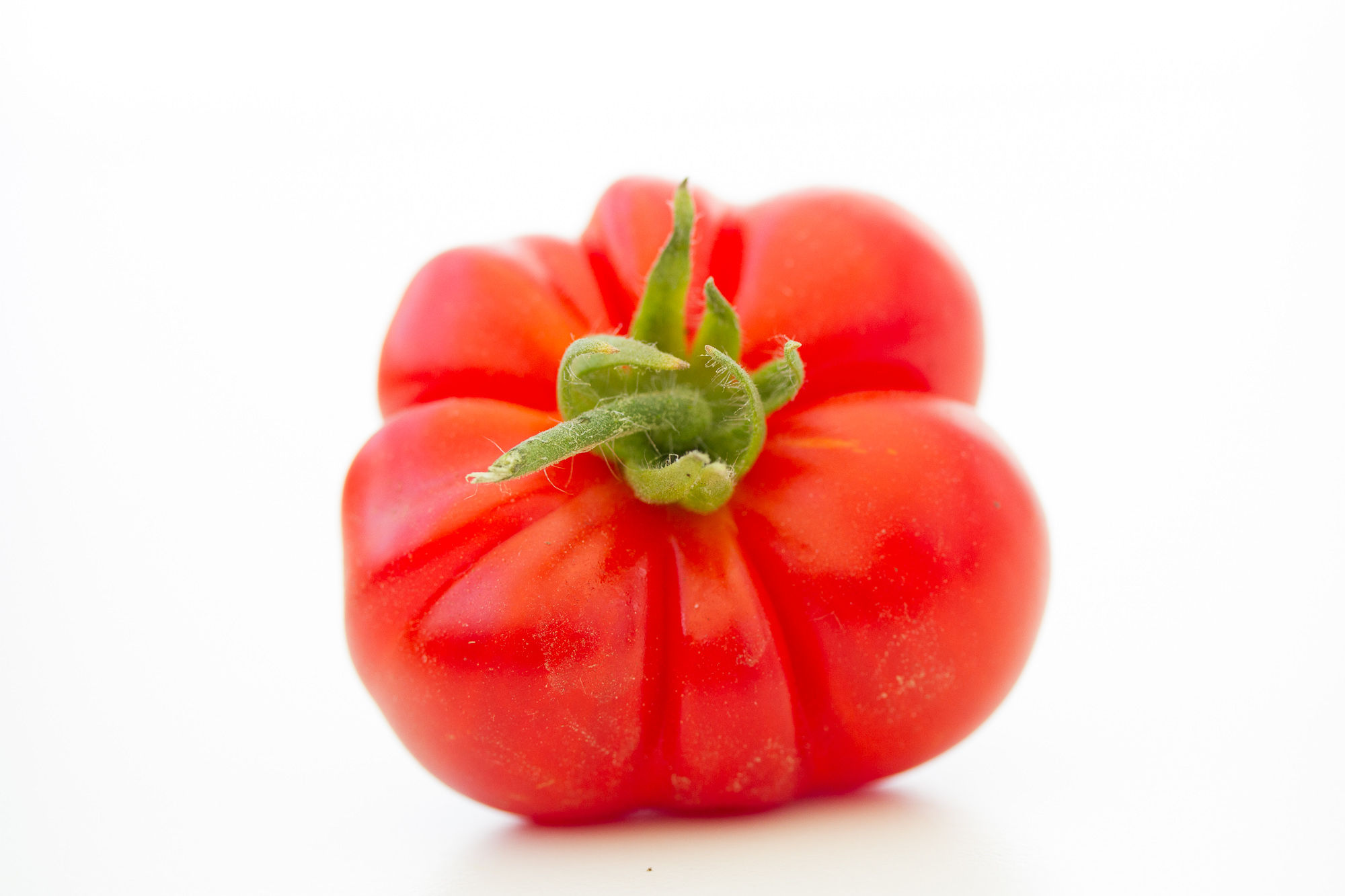 Silbertanne (Russland)