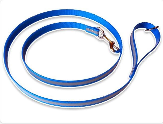 Thumbnail: light blue Biothane reflective leash