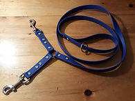 2 dog le blue