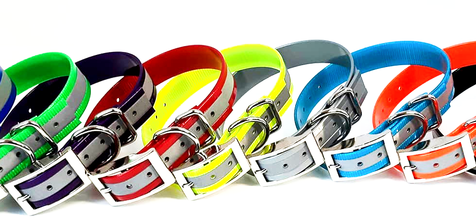 1 in reflective collars_edited.jpg