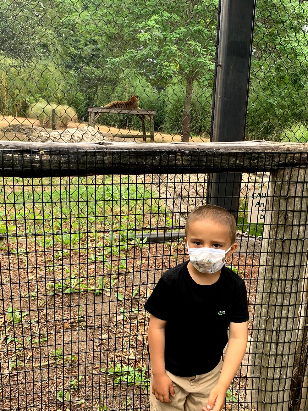 Maddox's zoo adventures.