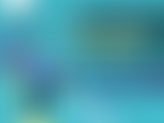 The Power of Reviews and Ratings: How They Impact Amazon SEO