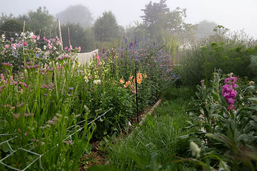 website-15.jpg