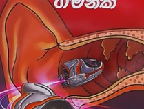 BADA KANA ATHULATA GAMANAK