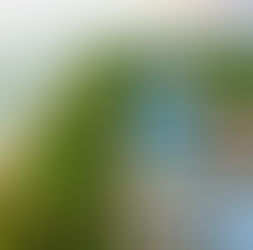 Maldives Guesthouse: Authentic Island Experience