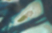 Thinadhoo-Vaavu Atoll | Maldives Online Guide