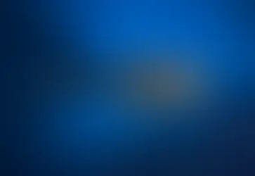 Swim with Whale Sharks